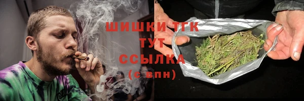 ГАЛЛЮЦИНОГЕННЫЕ ГРИБЫ Аркадак