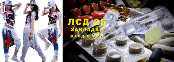 ГАЛЛЮЦИНОГЕННЫЕ ГРИБЫ Аркадак